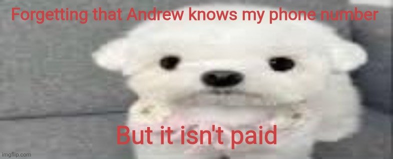 Dog stating | Forgetting that Andrew knows my phone number; But it isn't paid | image tagged in dog stating | made w/ Imgflip meme maker
