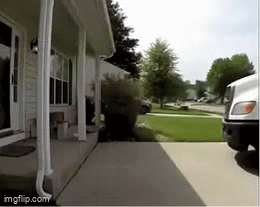 special delivery | image tagged in gifs,truck driver,delivery | made w/ Imgflip video-to-gif maker