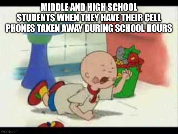 Put your phone away during school hours! | MIDDLE AND HIGH SCHOOL STUDENTS WHEN THEY HAVE THEIR CELL PHONES TAKEN AWAY DURING SCHOOL HOURS | image tagged in caillou's tantrum,caillou,school meme,cell phone,smartphone,tantrum | made w/ Imgflip meme maker