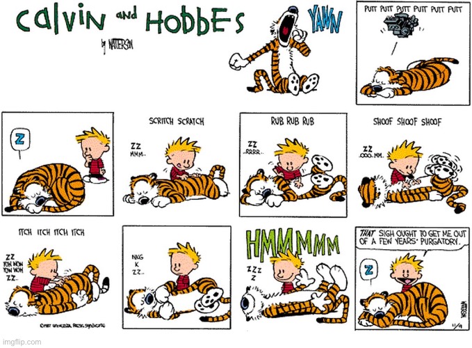 Hobbes gets “the full treatment” from Calvin… | image tagged in calvin and hobbes,comics,full treatment | made w/ Imgflip meme maker