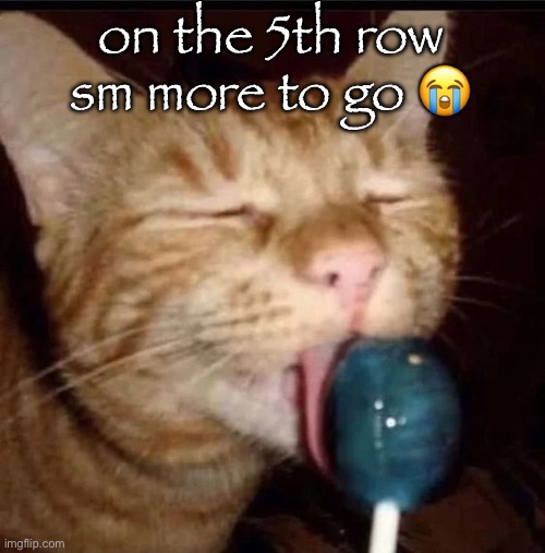 silly goober 2 | on the 5th row
sm more to go 😭 | image tagged in silly goober 2 | made w/ Imgflip meme maker