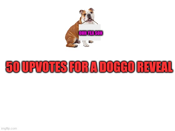 :D | OHH YEA SON; 50 UPVOTES FOR A DOGGO REVEAL | made w/ Imgflip meme maker