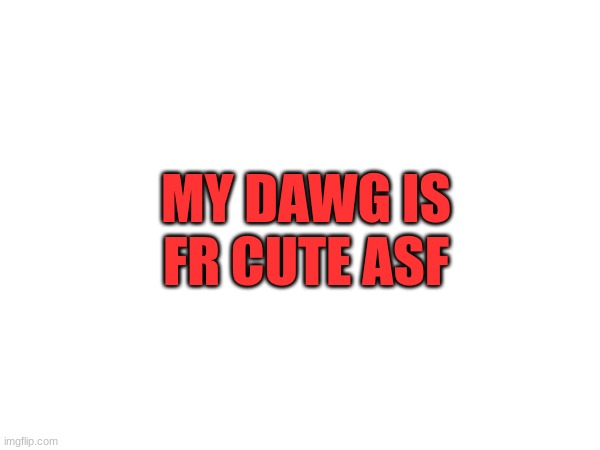 MY DAWG IS FR CUTE ASF | made w/ Imgflip meme maker