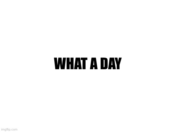 WHAT A DAY | made w/ Imgflip meme maker