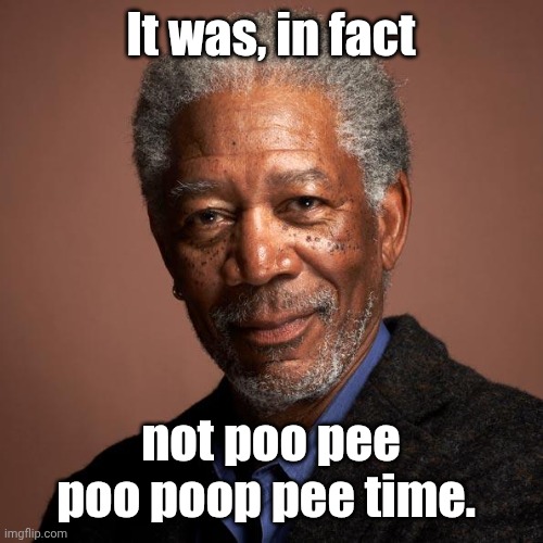 Morgan Freeman | It was, in fact not poo pee poo poop pee time. | image tagged in morgan freeman | made w/ Imgflip meme maker