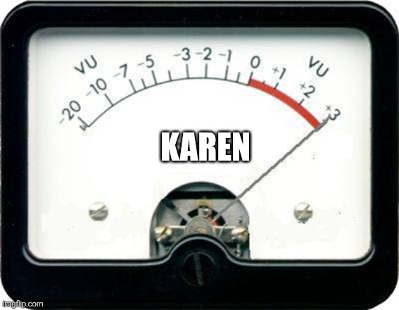 Irony Meter | KAREN | image tagged in irony meter | made w/ Imgflip meme maker