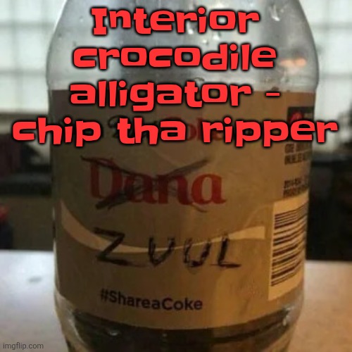 there is no diet, only zero | Interior crocodile alligator - chip tha ripper | image tagged in there is no diet only zero | made w/ Imgflip meme maker