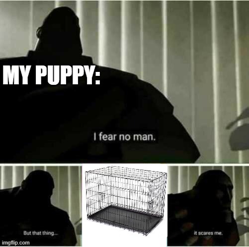I fear no man | MY PUPPY: | image tagged in i fear no man | made w/ Imgflip meme maker