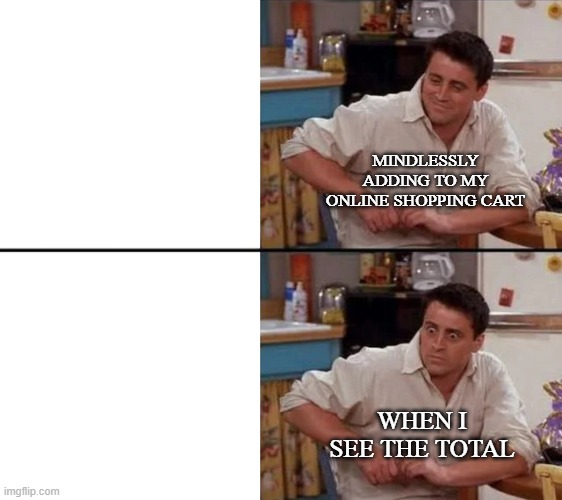 Surprised Joey | MINDLESSLY ADDING TO MY ONLINE SHOPPING CART; WHEN I SEE THE TOTAL | image tagged in surprised joey | made w/ Imgflip meme maker