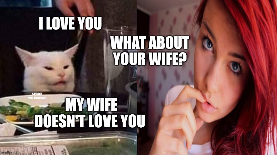 Reverse Smudge that darn cat | WHAT ABOUT YOUR WIFE? I LOVE YOU; MY WIFE DOESN'T LOVE YOU | image tagged in reverse smudge that darn cat | made w/ Imgflip meme maker