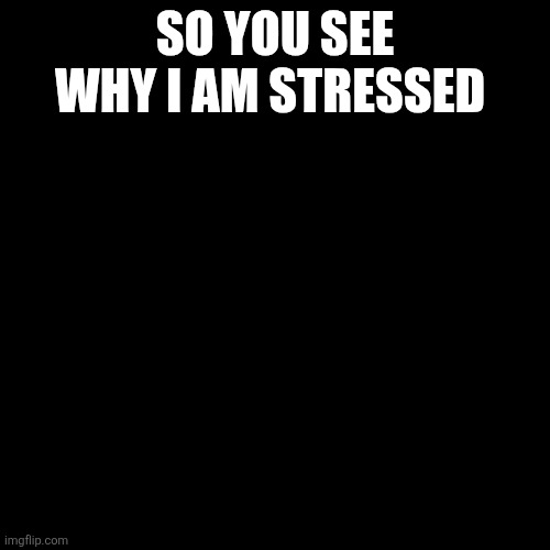 Little miss | SO YOU SEE WHY I AM STRESSED | image tagged in little miss | made w/ Imgflip meme maker