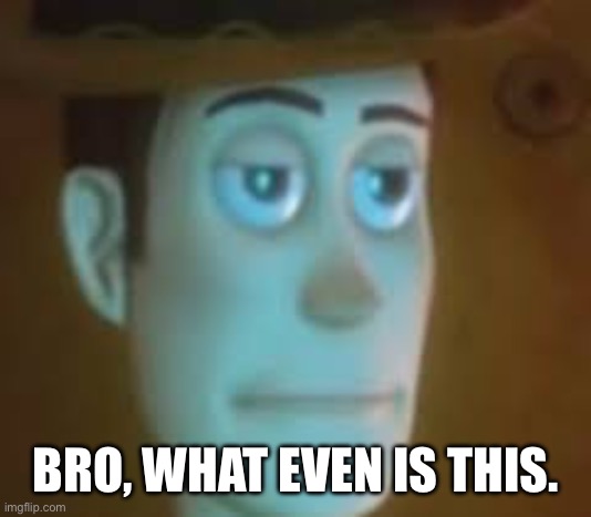 disappointed woody | BRO, WHAT EVEN IS THIS. | image tagged in disappointed woody | made w/ Imgflip meme maker