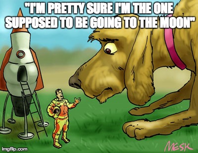 "I'M PRETTY SURE I'M THE ONE SUPPOSED TO BE GOING TO THE MOON" | image tagged in dogecoin | made w/ Imgflip meme maker