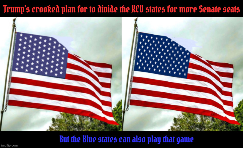 Seeing Stars & Stripes galore | Trump's crooked plan for to divide the RED states for more Senate seats; But the Blue states can also play that game | image tagged in stop the insanity,impeach trump,maga monarchy,dump trump,trump cheats,seeing stars and strioes galore | made w/ Imgflip meme maker