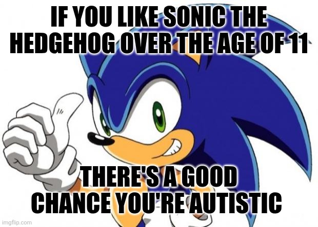 I don't make the rules | IF YOU LIKE SONIC THE HEDGEHOG OVER THE AGE OF 11; THERE'S A GOOD CHANCE YOU'RE AUTISTIC | image tagged in sonic the hedgehog approves,memes,autism | made w/ Imgflip meme maker