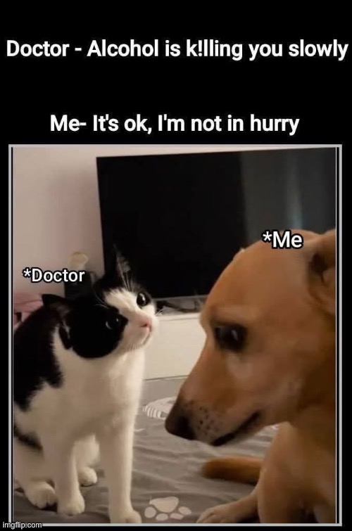 Alcohol | image tagged in drinking,alcohol,hurry,dying,dying inside | made w/ Imgflip meme maker