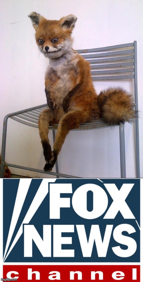 Fox Headlines | image tagged in stoned fox,fox news,rejected,headlines | made w/ Imgflip meme maker