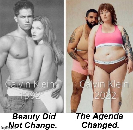 I'll take 1992... | The Agenda 
Changed. Beauty Did
Not Change. | image tagged in mental health,liberals vs conservatives,leftists,calvin klein,agenda,liberalism | made w/ Imgflip meme maker