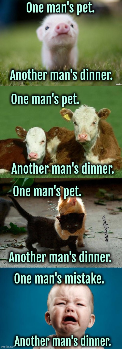 It's all about perceptions. | One man's pet. Another man's dinner. One man's pet. Another man's dinner. One man's pet. @darking2jarlie; Another man's dinner. One man's mistake. Another man's dinner. | image tagged in piglet,baby cows,kitten hug,crybaby,cannibalism,vegan | made w/ Imgflip meme maker