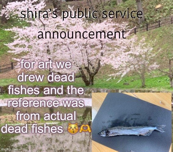 for anyone wondering im pretty sure my art teacher said it was an anchovy | for art we drew dead fishes and the reference was from actual dead fishes 😽🫶 | image tagged in shira s psa | made w/ Imgflip meme maker