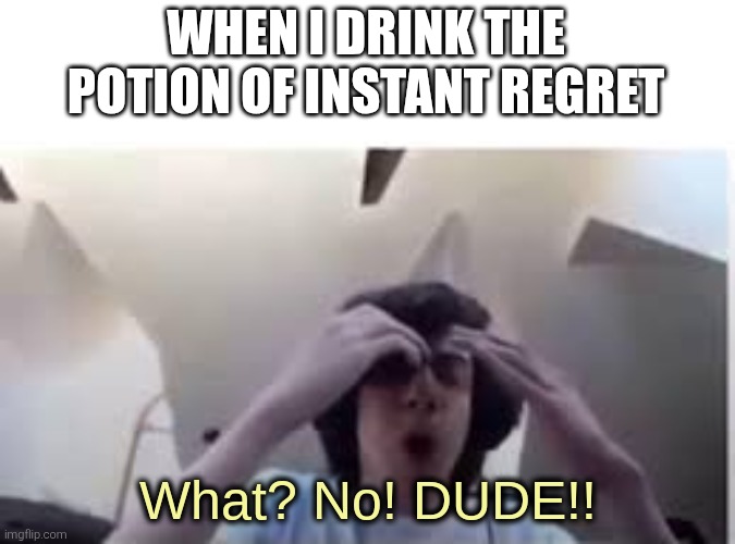 When I drink the potion of instant regret | WHEN I DRINK THE POTION OF INSTANT REGRET | image tagged in what no dude,memes,funny,funny memes | made w/ Imgflip meme maker
