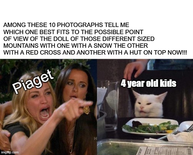 Piaget’s "Three mountains task" | AMONG THESE 10 PHOTOGRAPHS TELL ME WHICH ONE BEST FITS TO THE POSSIBLE POINT OF VIEW OF THE DOLL OF THOSE DIFFERENT SIZED MOUNTAINS WITH ONE WITH A SNOW THE OTHER WITH A RED CROSS AND ANOTHER WITH A HUT ON TOP NOW!!! Piaget; 4 year old kids | image tagged in memes,woman yelling at cat | made w/ Imgflip meme maker