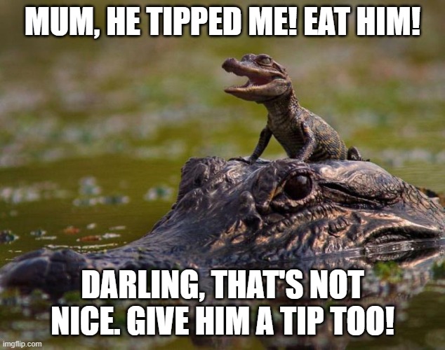 tipping in orb | MUM, HE TIPPED ME! EAT HIM! DARLING, THAT'S NOT NICE. GIVE HIM A TIP TOO! | image tagged in baby alligator enjoying a ride on mom s head | made w/ Imgflip meme maker