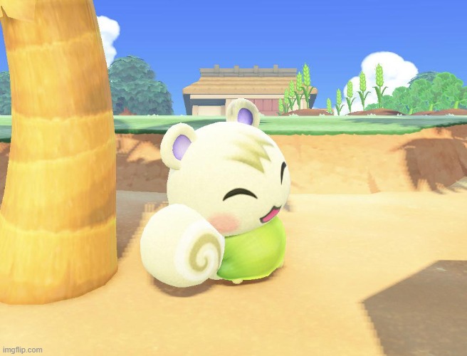 coconut marshal | image tagged in animal crossing,acnh,animal crossing new horizons,coconut marshal,cute,wholesome | made w/ Imgflip meme maker