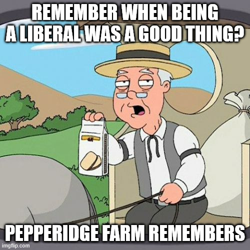 When Being A Liberal Was A Good Thing | REMEMBER WHEN BEING A LIBERAL WAS A GOOD THING? PEPPERIDGE FARM REMEMBERS | image tagged in memes,pepperidge farm remembers,liberals,libtards,brainwashed,democrats | made w/ Imgflip meme maker