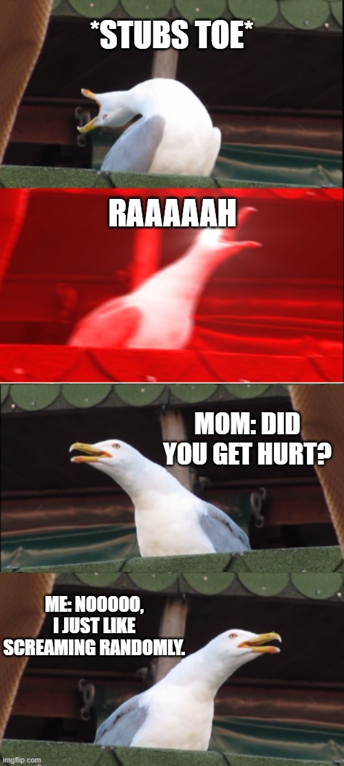 .      . | *STUBS TOE*; RAAAAAH; MOM: DID YOU GET HURT? ME: NOOOOO, I JUST LIKE SCREAMING RANDOMLY. | image tagged in inhaling seagull,funny,funny memes,relatable,relatable memes | made w/ Imgflip meme maker