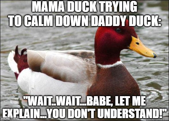 make actual bad advice mallard | MAMA DUCK TRYING TO CALM DOWN DADDY DUCK: "WAIT..WAIT...BABE, LET ME EXPLAIN...YOU DON'T UNDERSTAND!" | image tagged in make actual bad advice mallard | made w/ Imgflip meme maker
