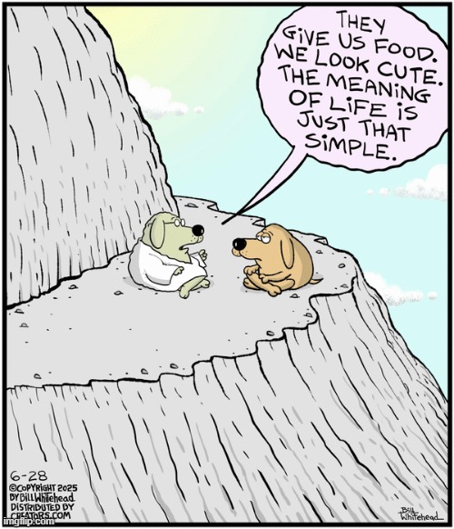 Free Range | image tagged in comics | made w/ Imgflip meme maker