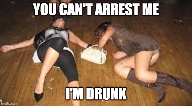 drunk girls | YOU CAN'T ARREST ME I'M DRUNK | image tagged in drunk girls | made w/ Imgflip meme maker