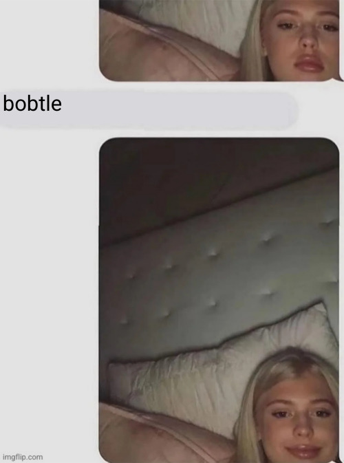 bobtle | made w/ Imgflip meme maker