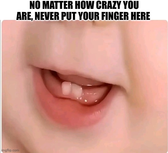 No Matter How Crazy You Are Never Put Your Finger Here | NO MATTER HOW CRAZY YOU ARE, NEVER PUT YOUR FINGER HERE | image tagged in chrisjoines1 | made w/ Imgflip meme maker