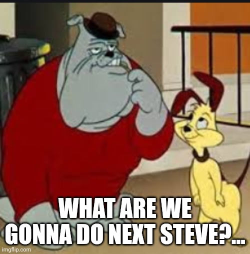 Spike and Chester | WHAT ARE WE GONNA DO NEXT STEVE?... | image tagged in spike and chester | made w/ Imgflip meme maker