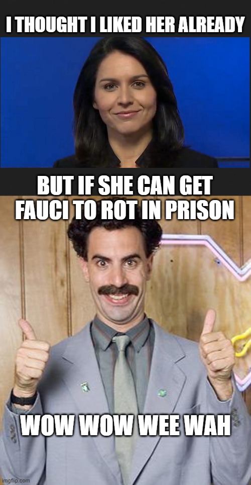 I THOUGHT I LIKED HER ALREADY BUT IF SHE CAN GET FAUCI TO ROT IN PRISON WOW WOW WEE WAH | image tagged in tulsi gabbard,borat | made w/ Imgflip meme maker