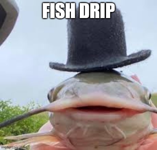 Lingua guli guli | FISH DRIP | image tagged in drippy | made w/ Imgflip meme maker