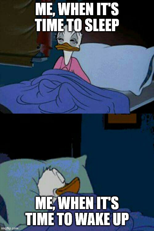 sleepy donald duck in bed | ME, WHEN IT'S TIME TO SLEEP; ME, WHEN IT'S TIME TO WAKE UP | image tagged in sleepy donald duck in bed,memes,funny,relatable | made w/ Imgflip meme maker