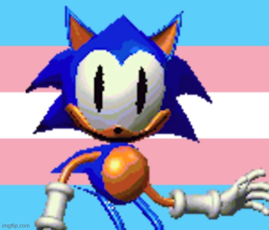 spam him with this or smth idk | image tagged in transwrite | made w/ Imgflip meme maker