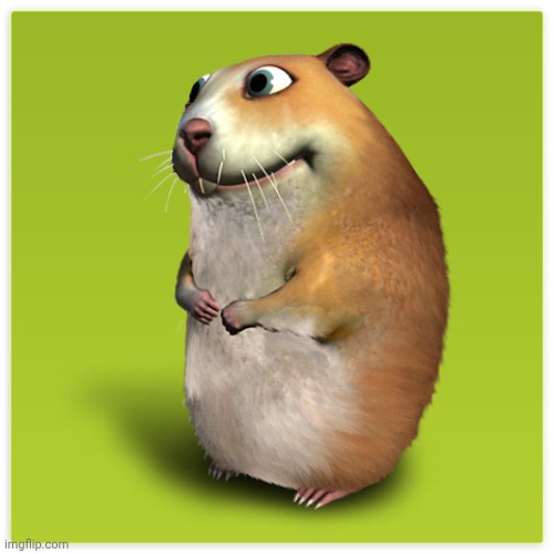 Chomik | image tagged in chomik | made w/ Imgflip meme maker