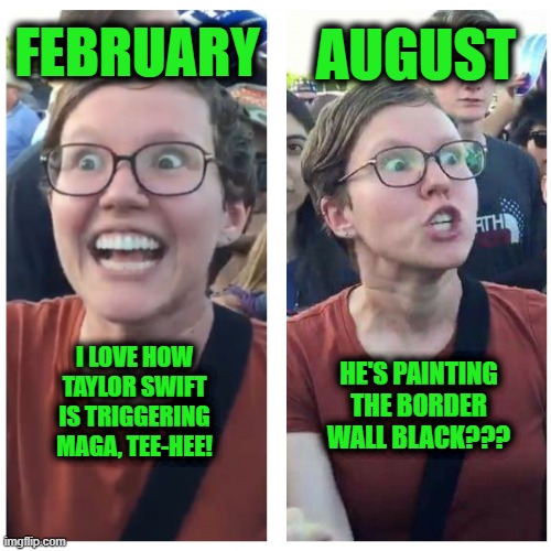 It's the Meme that Keeps on Giving | FEBRUARY; AUGUST; HE'S PAINTING THE BORDER WALL BLACK??? I LOVE HOW TAYLOR SWIFT IS TRIGGERING MAGA, TEE-HEE! | image tagged in sjw happy then triggered | made w/ Imgflip meme maker