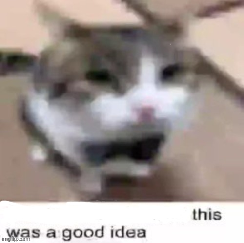 What made you think this was a good idea | image tagged in what made you think this was a good idea | made w/ Imgflip meme maker