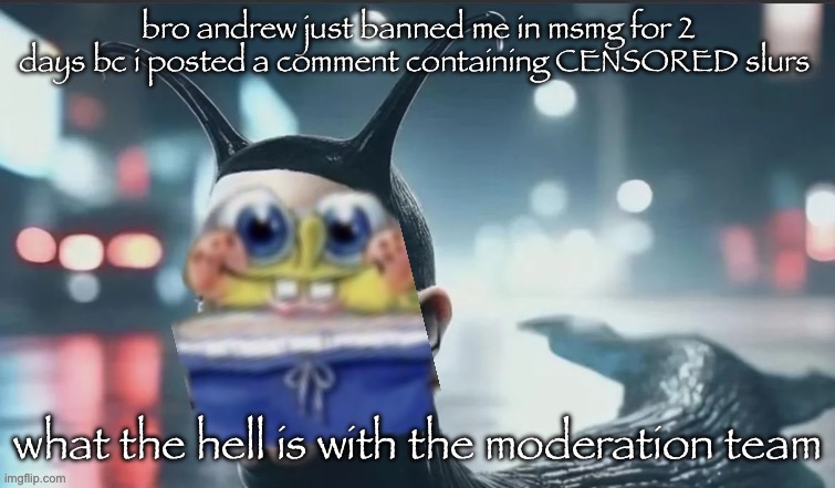 why is andrew like this | bro andrew just banned me in msmg for 2 days bc i posted a comment containing CENSORED slurs; what the hell is with the moderation team | image tagged in slugbob | made w/ Imgflip meme maker
