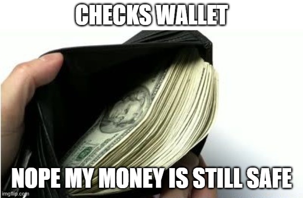 Checks Wallet Nope money is still safe | CHECKS WALLET; NOPE MY MONEY IS STILL SAFE | image tagged in wallet,cash | made w/ Imgflip meme maker