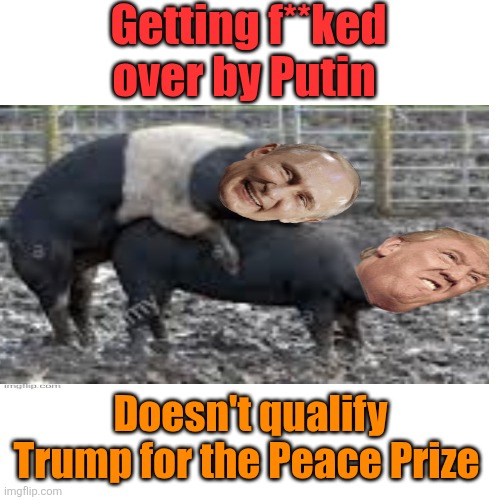 Blank Transparent Square Meme | Getting f**ked over by Putin Doesn't qualify Trump for the Peace Prize | image tagged in memes,blank transparent square | made w/ Imgflip meme maker