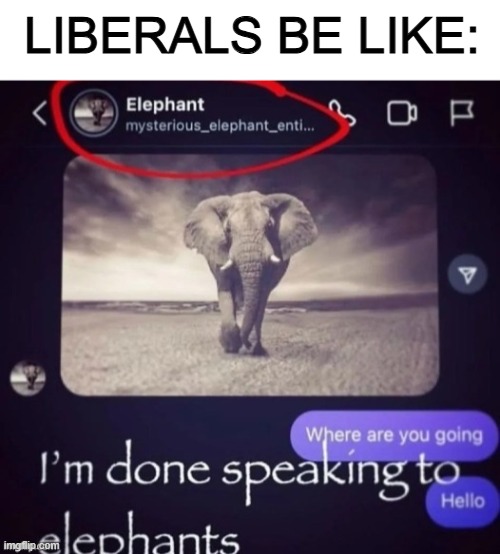 they won't talk to us | LIBERALS BE LIKE: | image tagged in liberals,elephant,funny | made w/ Imgflip meme maker