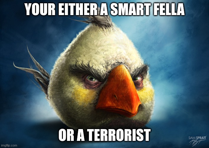 Realistic Angry Bird (Mathilda) | YOUR EITHER A SMART FELLA; OR A TERRORIST | image tagged in realistic angry bird mathilda | made w/ Imgflip meme maker