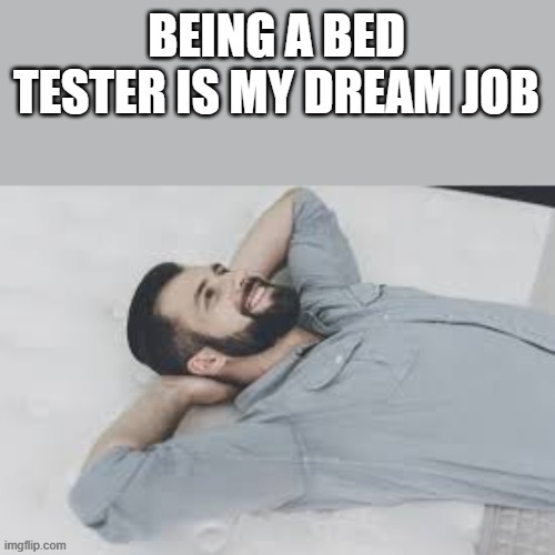 My Dream Job | BEING A BED TESTER IS MY DREAM JOB | image tagged in bed tester,bed,dream job,job,funny,memes | made w/ Imgflip meme maker