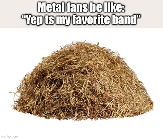 Metal fans be like:
“Yep ts my favorite band” | made w/ Imgflip meme maker